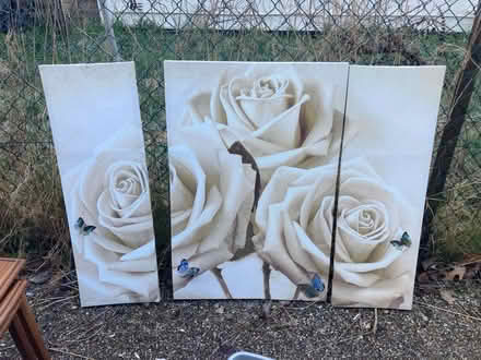 Photo of free Large canvas white rose (Cricket Road OX4) #1