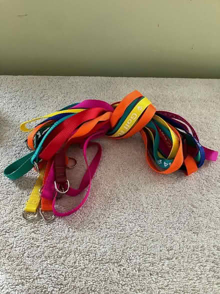 Photo of free 4' Slip Leads (Near Gary Ave & Schick Rd) #1