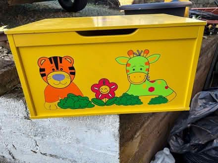 Photo of free Child’s Trunk and bookcase (Camden) #1