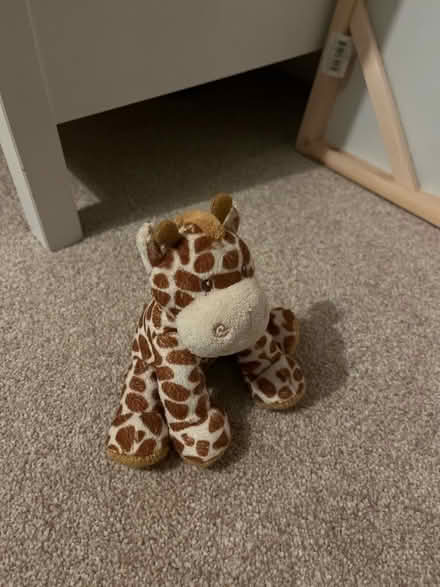 Photo of free Giraffe rattle (BS9) #1