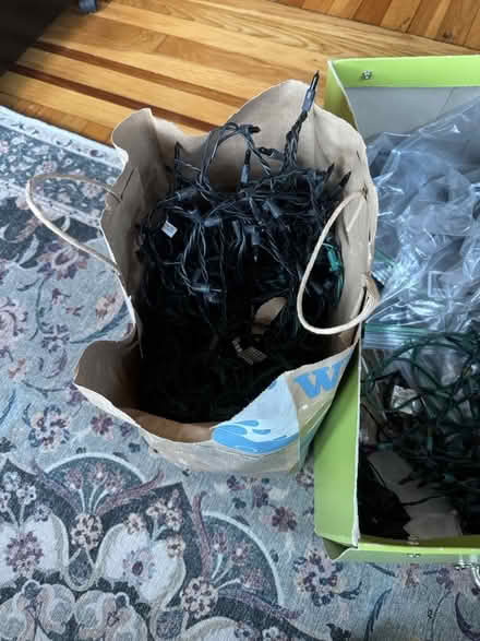 Photo of free Strings of Indoor/outdoor Lights (Lexington center) #2
