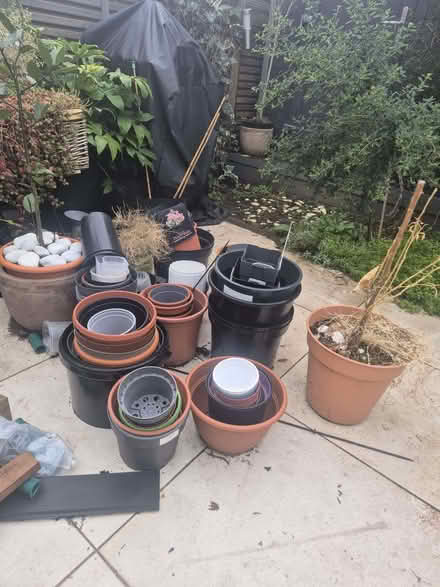 Photo of free Plant pots (Hanwell W13) #1