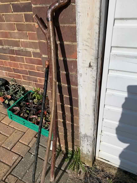 Photo of free 3 unusual hand made walking sticks (Pebsham TN40) #2