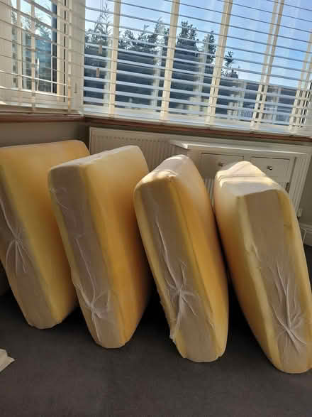 Photo of free Replacement Foam Sofa Cushions (Worthing BN11) #1