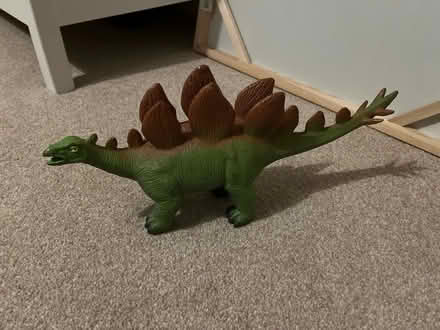 Photo of free Stegosaurus (BS9) #1