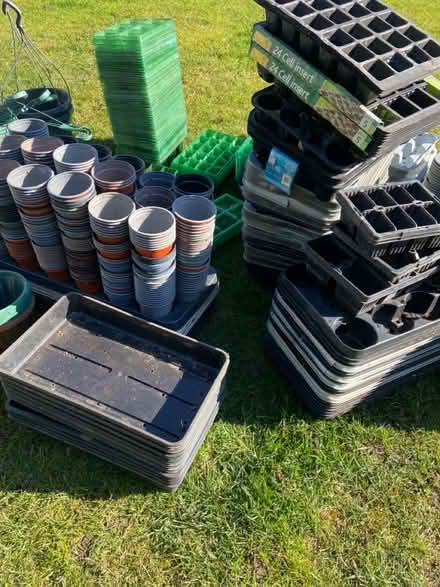 Photo of free Plant pots and seed trays (Walpole st Andrew) #4