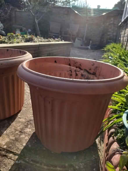 Photo of free 4 X garden planters (plastic) (Eastbourne BN21 2) #3