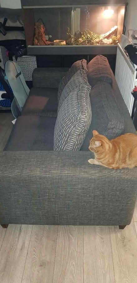 Photo of free Dark grey sofa (Dukinfield) #3