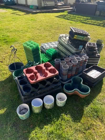 Photo of free Plant pots and seed trays (Walpole st Andrew) #3