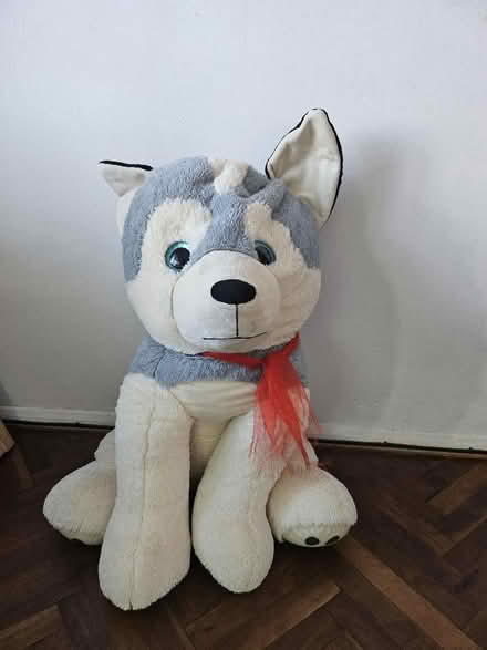 Photo of free Large teddy (Northfleet da11) #1