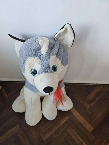 Photo of free Large teddy (Northfleet da11) #2