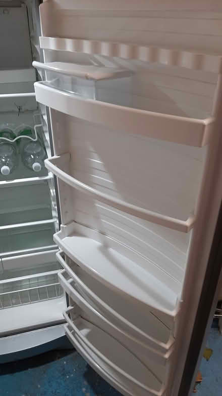 Photo of free Scandinova larder fridge (Vyne Road, Basingstoke, RG21) #3