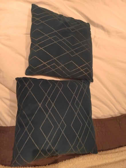 Photo of free 2 blue cushions with gold pattern (Streatham Vale SW16) #1