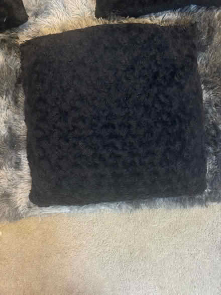 Photo of free 3 black cushions (West Drayton UB7) #2