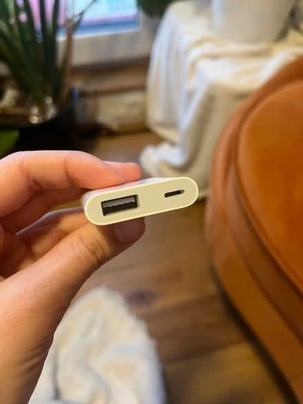 Photo of free Apple lightning to something cord (Bushwick) #2