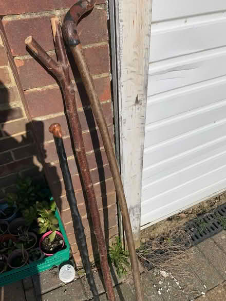 Photo of free 3 unusual hand made walking sticks (Pebsham TN40) #1