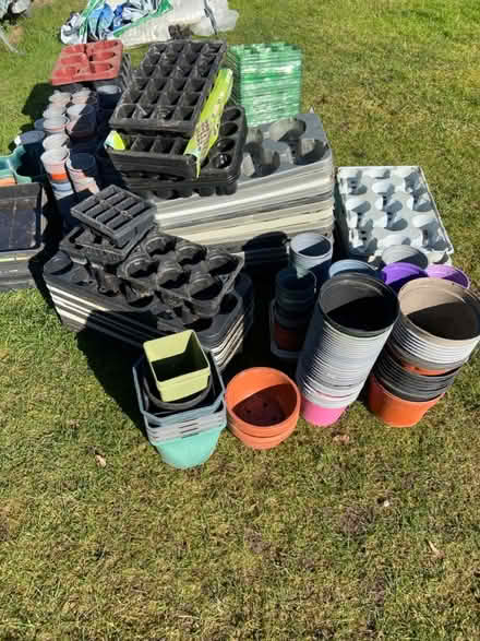 Photo of free Plant pots and seed trays (Walpole st Andrew) #2