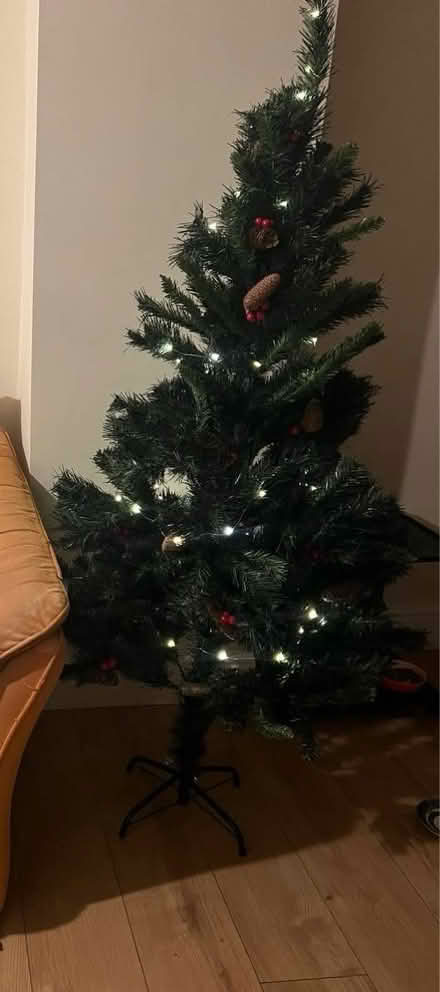 Photo of free Christmas tree (BR6 0HS) #1