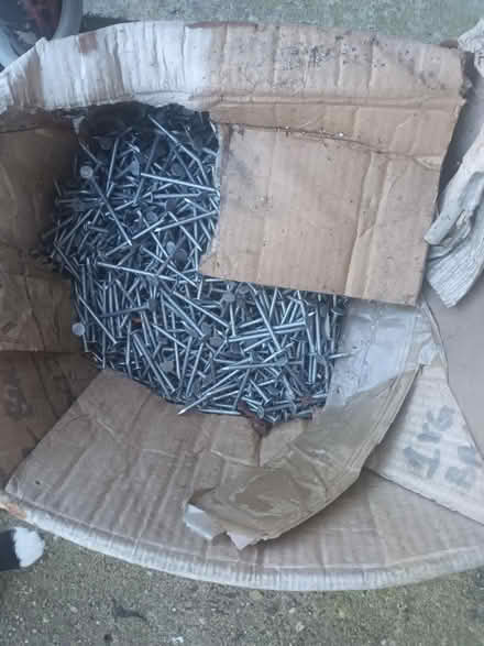Photo of free Big box of masonry nails (Carlton) #1