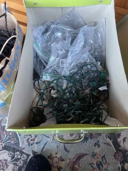 Photo of free Strings of Indoor/outdoor Lights (Lexington center) #1
