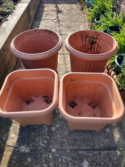 Photo of free 4 X garden planters (plastic) (Eastbourne BN21 2) #1