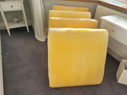 Photo of free Replacement Foam Sofa Cushions (Worthing BN11) #2