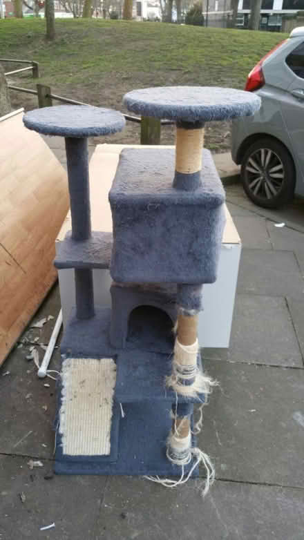 Photo of free Cat tree SW11 3TJ (SW11) #1