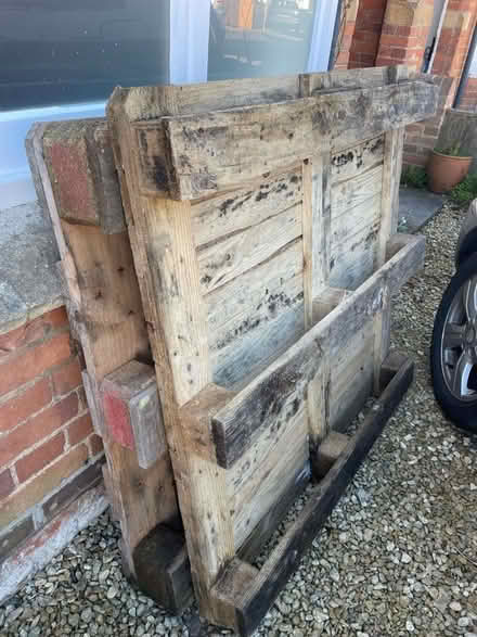Photo of free Pallets (Summertown OX2) #1