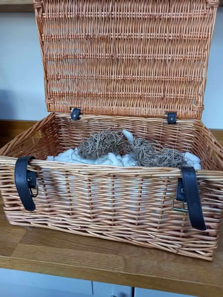Photo of free Wicker hamper (Woodmancote GL11) #2