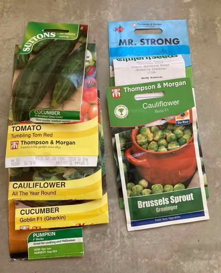 Photo of free Vegetable seeds (Upper Radley OX14) #1