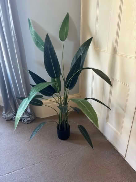 Photo of free Large artificial plant (Leckhampton GL53) #1