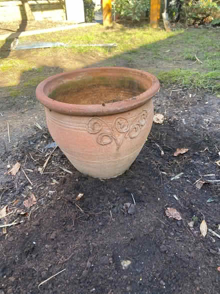 Photo of free Terracotta plant pot (Teddington TW1) #1