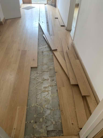 Photo of free Oak Flooring (OX3) #1