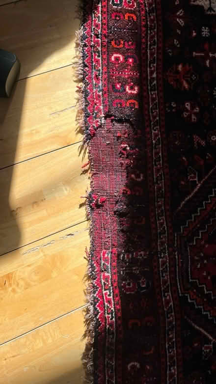 Photo of free Large Afghan rug (SE17) #2