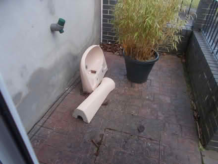 Photo of free hand basin and pedestal stand (Whitecliff BH14) #1