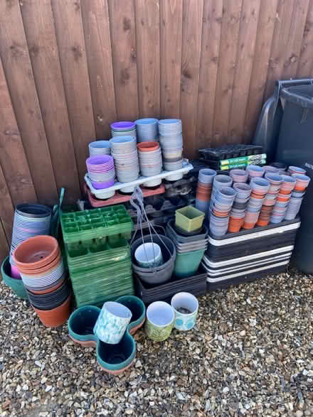 Photo of free Plant pots and seed trays (Walpole st Andrew) #1