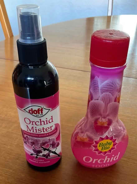 Photo of free Orchid items (Goldsworth Park GU21) #1