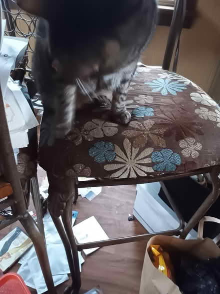 Photo of free Bistro table and 2 chairs (Lakewood, near St Clares) #4