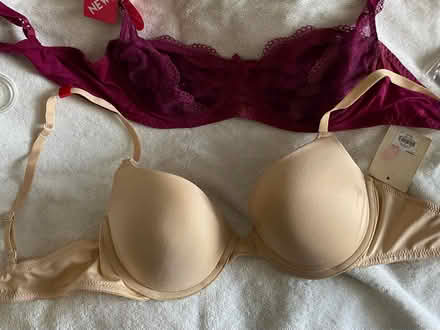 Photo of free Bras new 34C, 36 B (New Rochelle) #1
