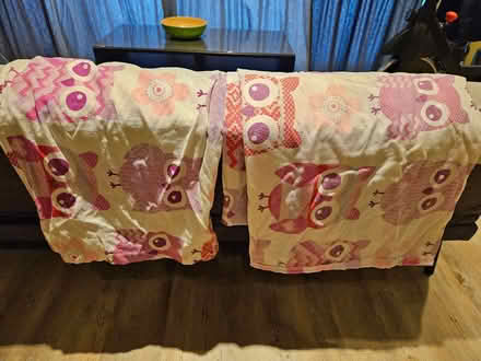 Photo of free Child single duvet set owl design (Brimscombe GL5) #1