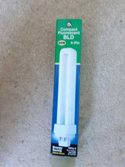 Photo of free 5 compact fluorescent bulbs (Torbay) #1