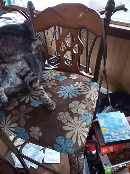 Photo of free Bistro table and 2 chairs (Lakewood, near St Clares) #3