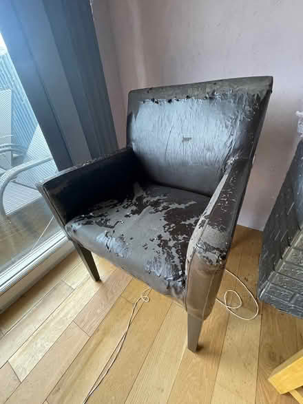 Photo of free 4 Carver Chairs (Alderney, Poole BH12) #2