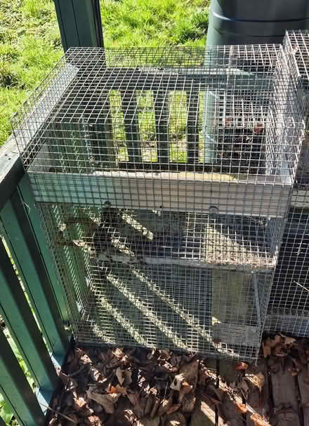 Photo of free Degu / small animal cage - medium (Farnham Common SL2) #2