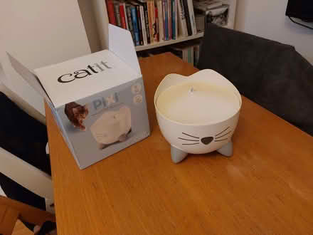 Photo of free Water fountain for a cat (London Rd Station area BN1) #1
