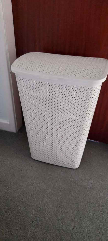 Photo of free Laundry Basket (Pantymwyn CH7) #1