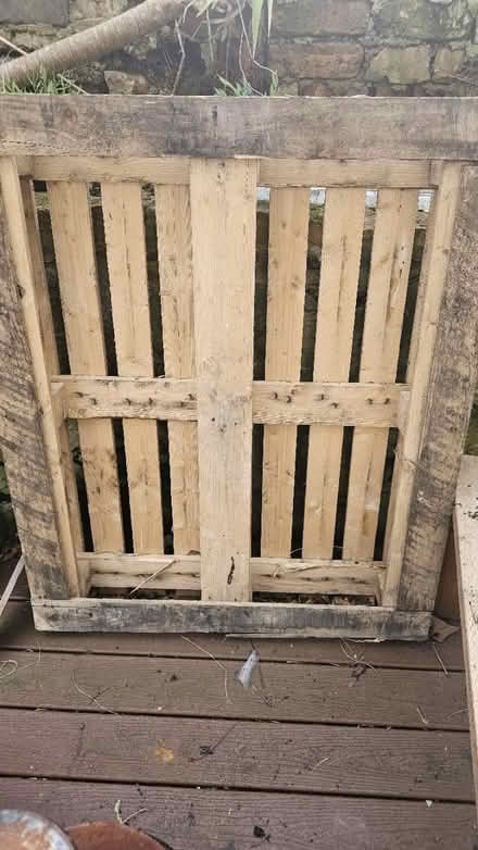 Photo of free Wooden pallets (DH1) #1