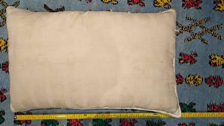 Photo of free Serene down & feather pillow (North Kensington W11) #1
