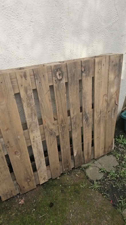 Photo of free Wooden pallets (DH1) #2