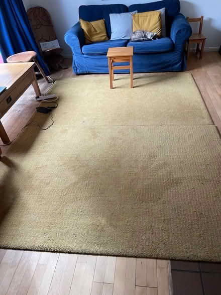 Photo of free 2 IKEA rugs (Blackbird Leys OX4) #1